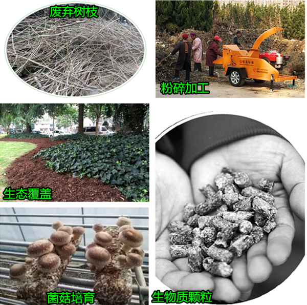 樹(shù)枝粉碎機(jī)開(kāi)啟果樹(shù)枝條資源化利用