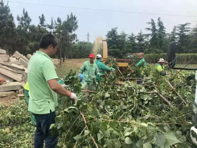 樹枝碎木機(jī)多功能可移動柴油機(jī)樹枝粉碎機(jī)