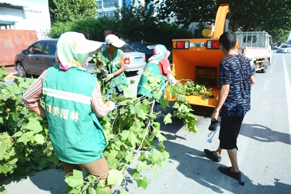 市政環(huán)保多功能移動式樹枝樹葉粉碎機
