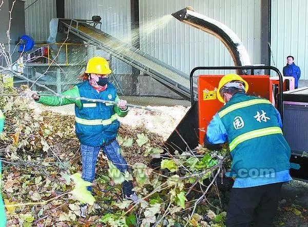平頂山市樹枝粉碎機(jī)廠處理冬季行道樹枯枝落葉