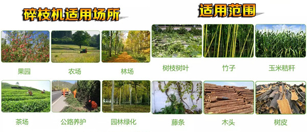云南褚橙莊園枝條樹枝粉碎機