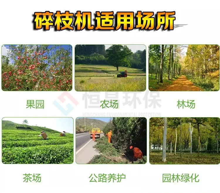 公園小區(qū)樹(shù)枝樹(shù)葉枝椏材粉碎處理設(shè)備