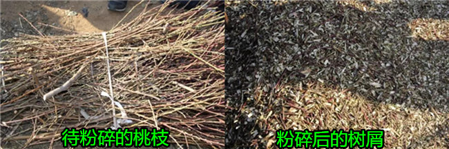 北京市平谷區(qū)廢棄桃樹(shù)枝粉碎機(jī)